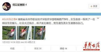 死婴在线观看,揭开生命终结的神秘面纱  第3张